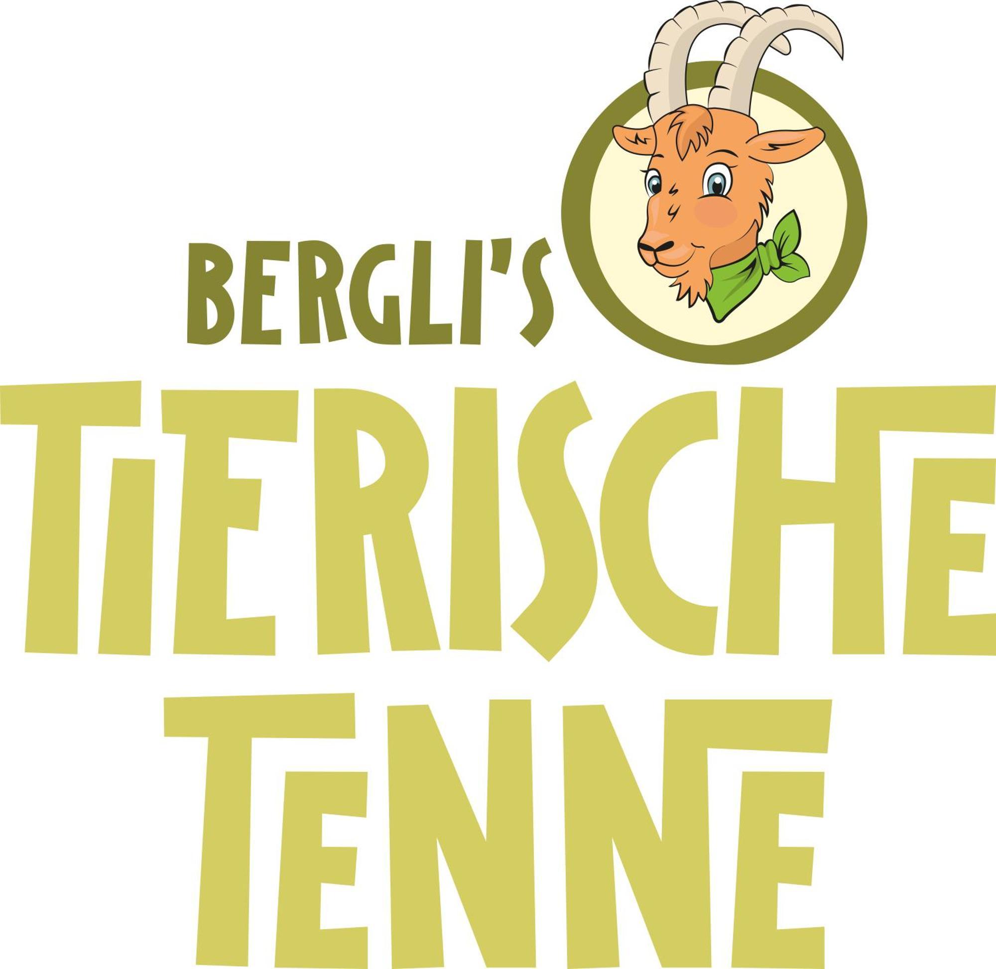 Hotel Berghof Mayrhofen Gmbh Esterno foto